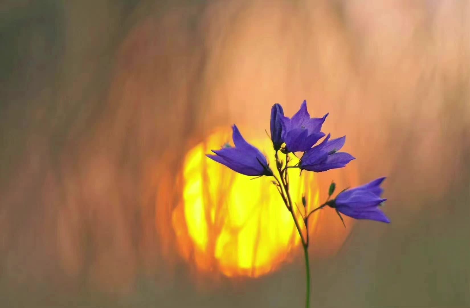 第四节  正念腹部呼吸练习