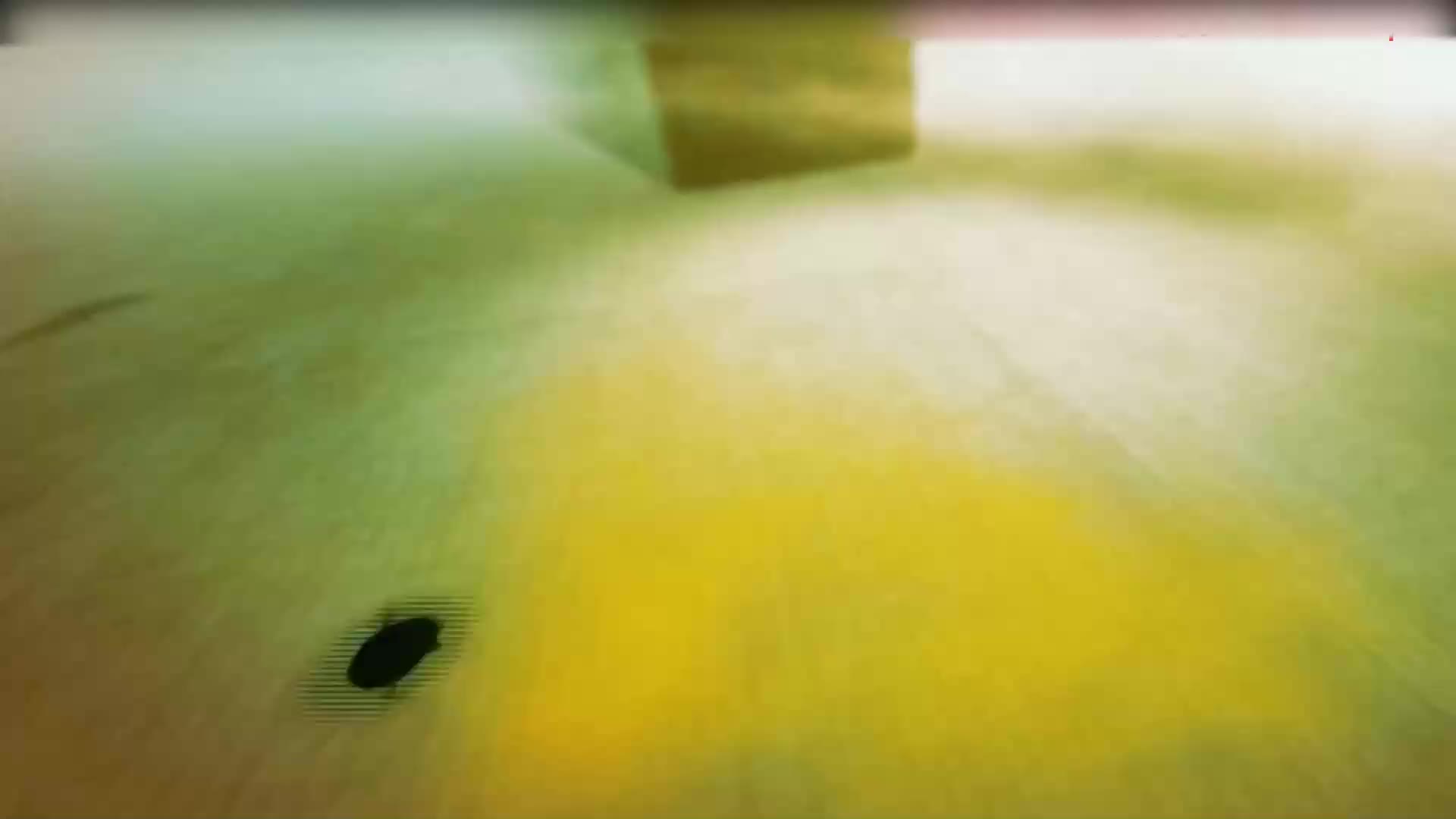 10_天下太平源母教，自古圣贤出闺门_1080p