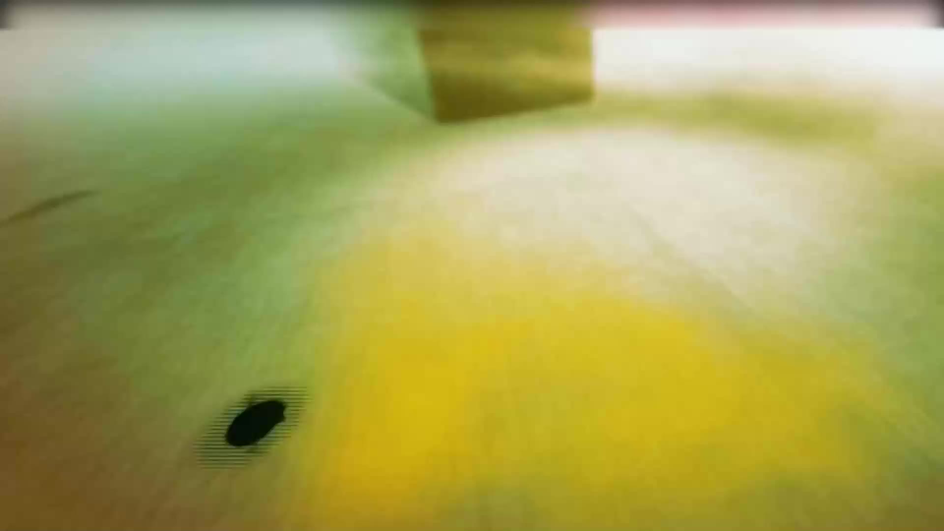 42_曹家大院：贤德继世 信义传家_1080p