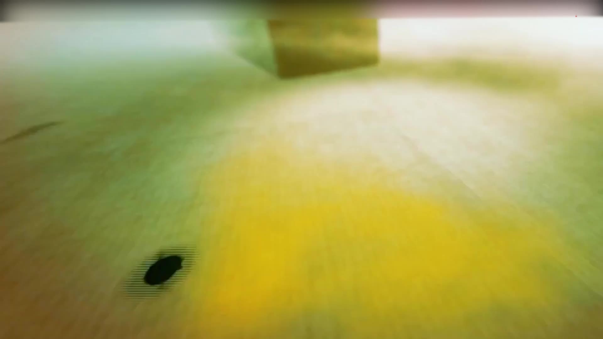 11_女人旺夫凭魅力，地水火风好修行_1080p