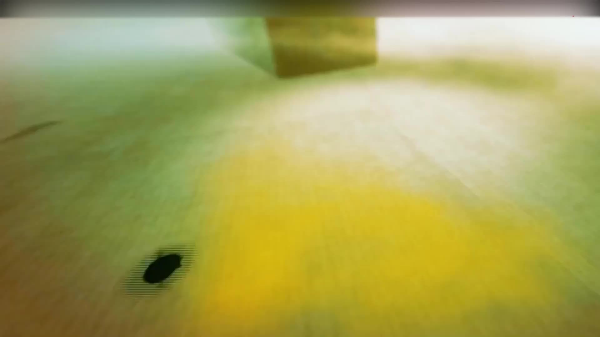 4_东西文明有差异，望族基因不二分_1080p
